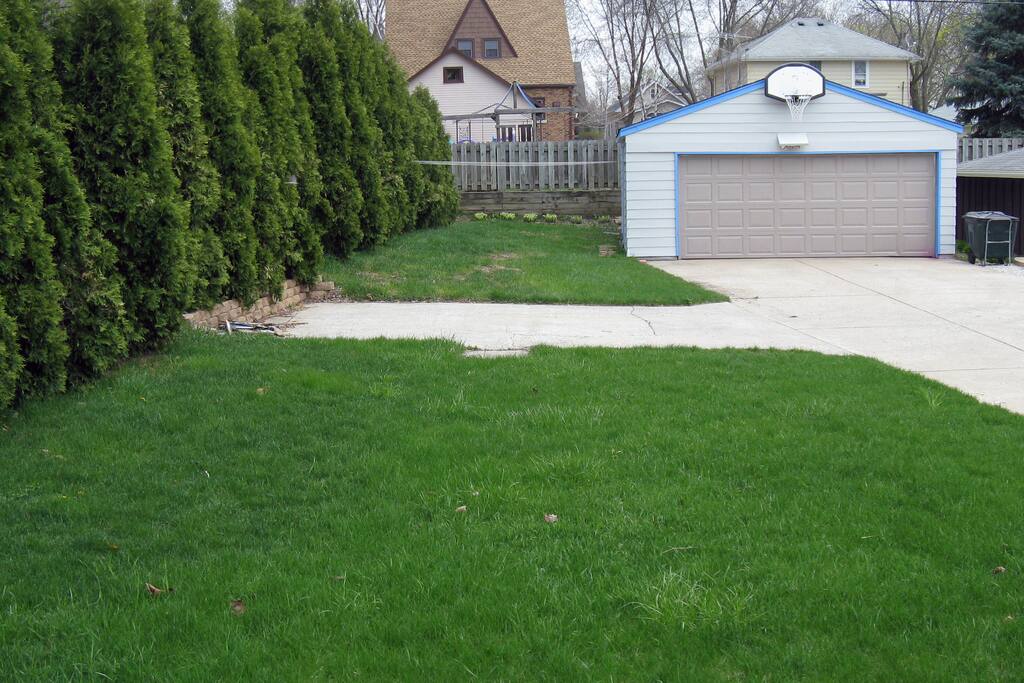 Backyard Summer