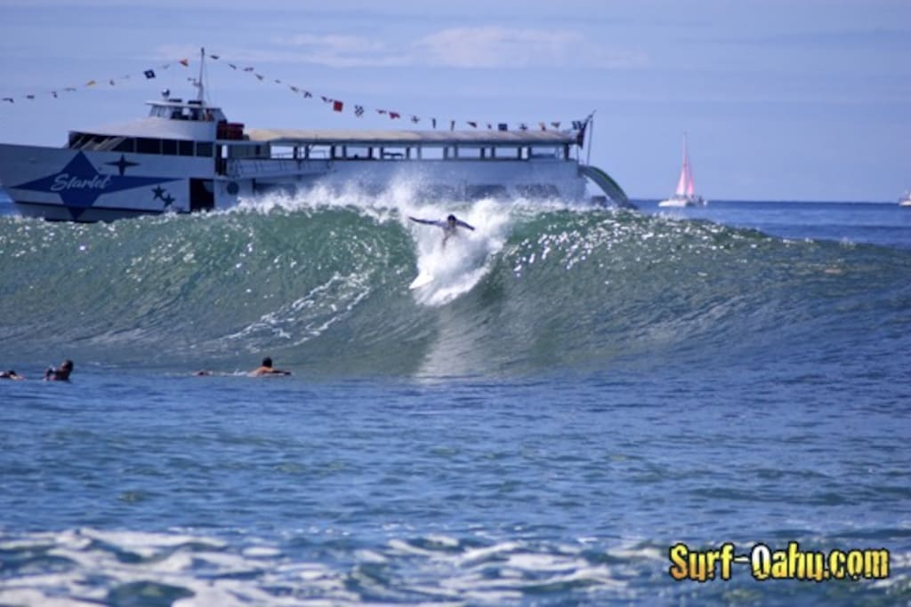 5 minute walk to kaisers famous surf break 2 Costco wave storm surfboards available complimentary for guest...for beginners surf lessons available 1 hour complimentary free... We want to share the greatest sport in the world experience true aloha
