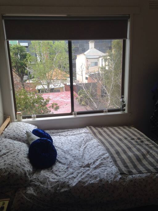 I love the view from this room. It gets the sun perfectly.