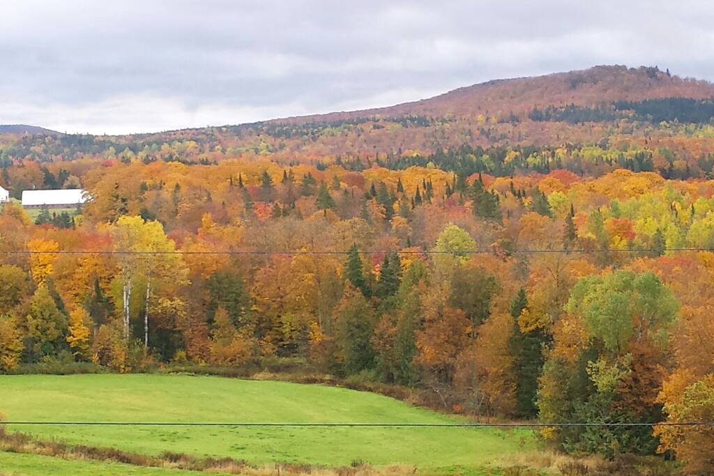 Peak foliage this week and great weather predicted.