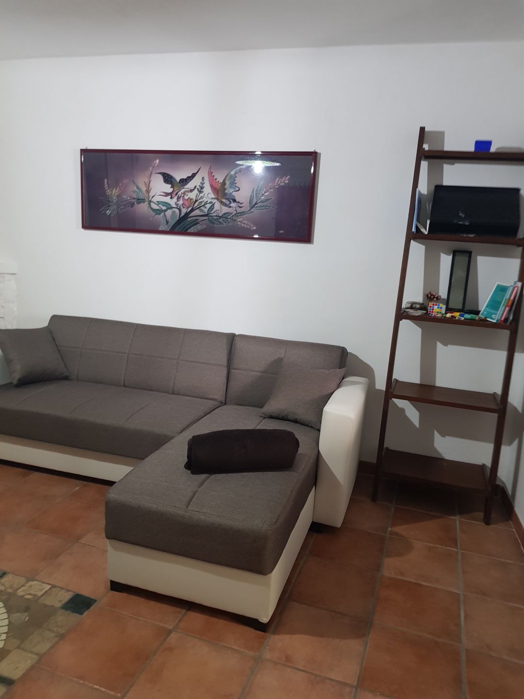 A neutral-toned sofa with a sectional design is positioned in the living area, complemented by a decorative framed artwork on the wall. A narrow bookshelf beside the sofa holds various items, creating a simple yet functional space.