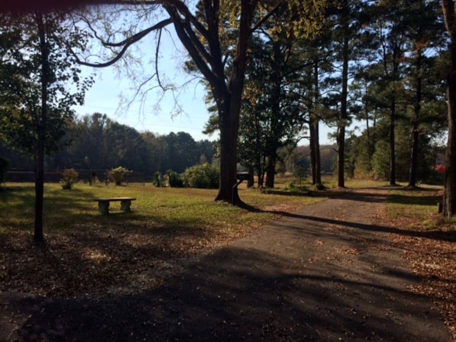 Front driveway
Clarkson's Guest House at Congaree