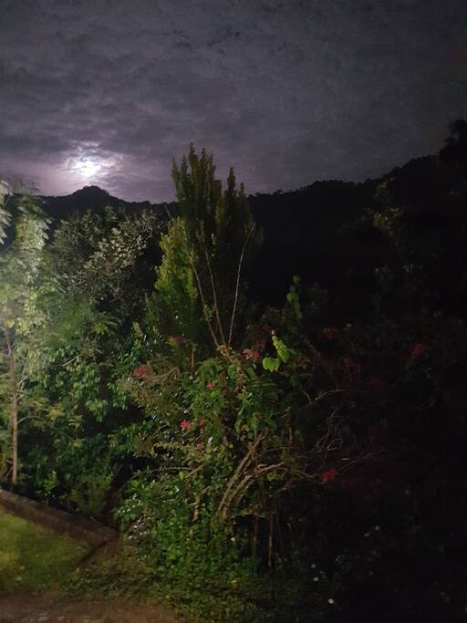 Surrounded by lovely Northern mountain range, fabulous evening views and foliage backdrop