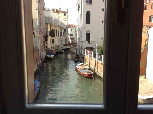 Notti magiche a Venezia – 027042 – LOC – 08915 gallery image 4