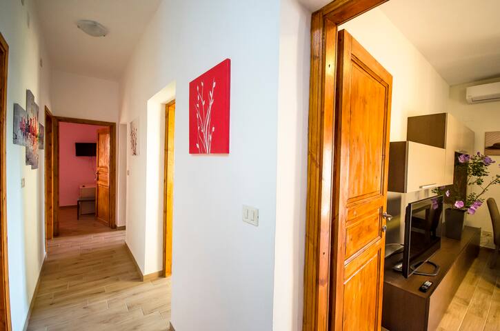 LONGINVM DOMUS ROMANVM gallery image 4