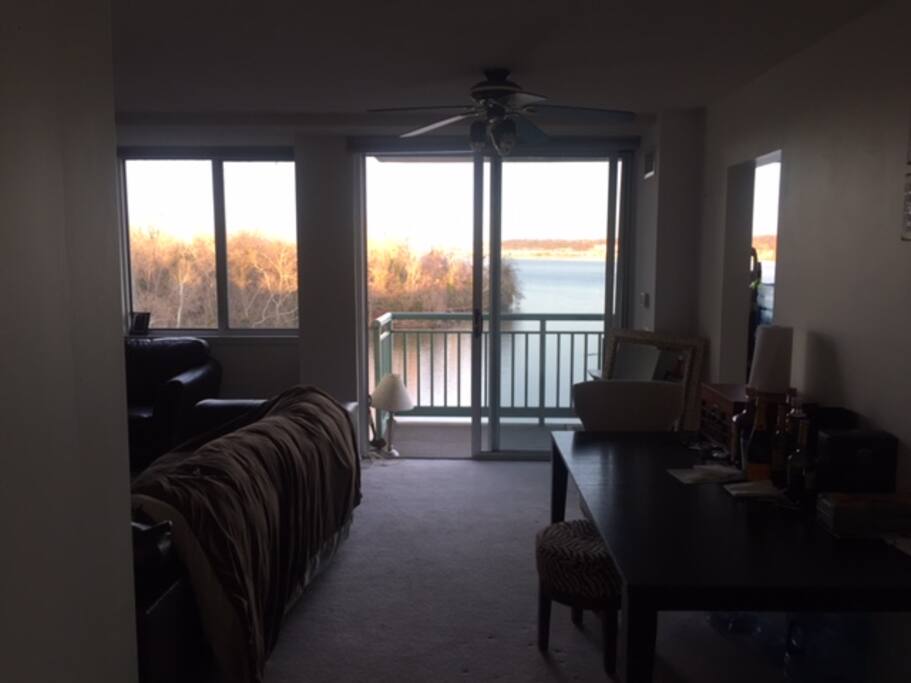 Dining/Living Room