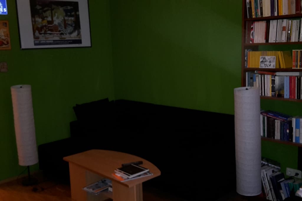 Wohnzimmer mit ausziehbarer Couch für zwei Personen :)