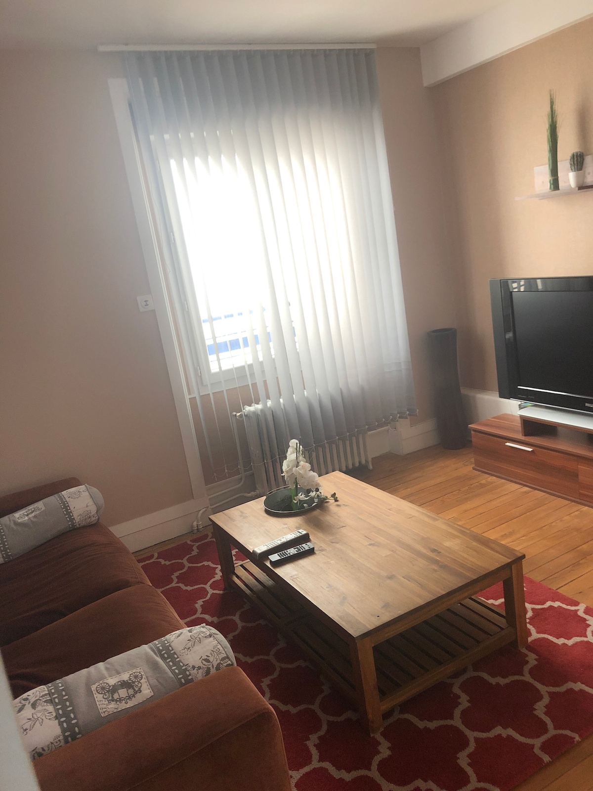 Top Airbnb: 2 bedroom apartment in the city center. à Diocèse De Saint étienne