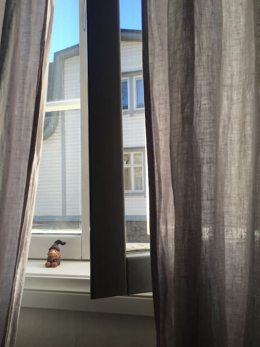 View from the living room.
