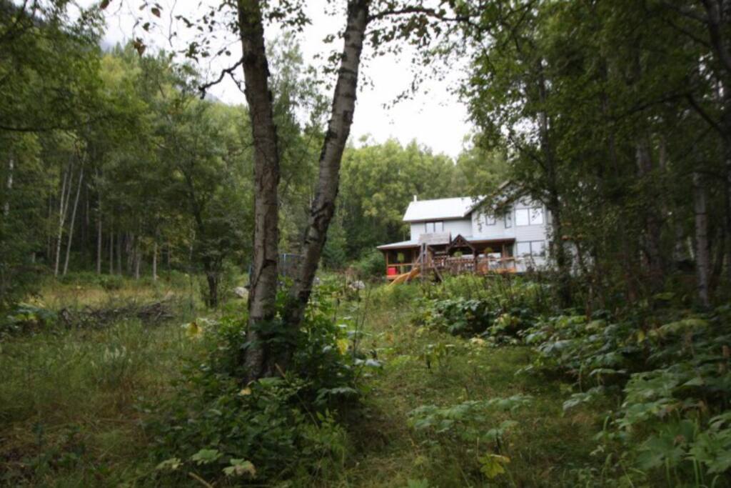 2 acre yard and view of entire house