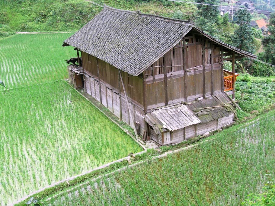 The house 房子