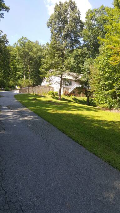Coming up the driveway to the house.