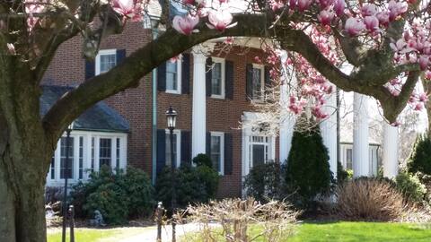For Families, Pet Friendly & a Wedding Venue.