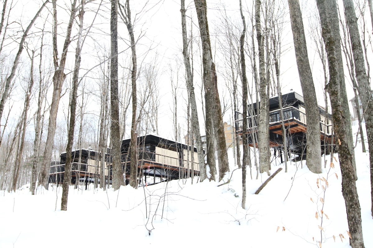 A collection of modern chalets is nestled among snow-covered trees, showcasing a sleek design with large windows. The structures are elevated on stilts, providing a unique vantage point. A serene winter landscape surrounds the area, emphasizing the natural beauty of the forest.