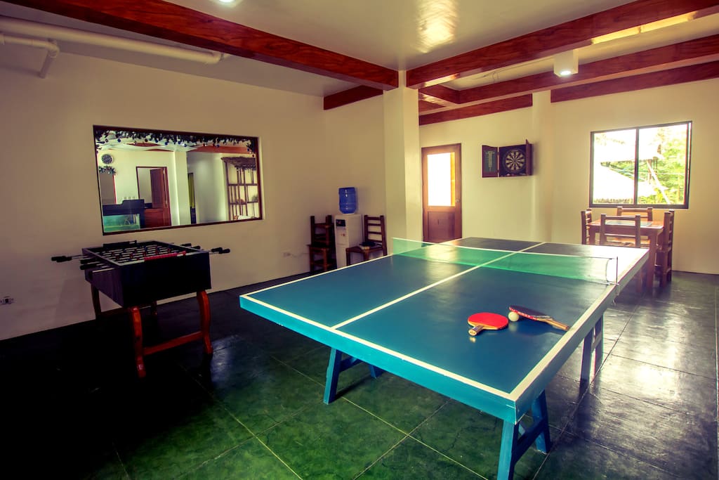 Games room with pingpong, darts, foosball and Wii machine