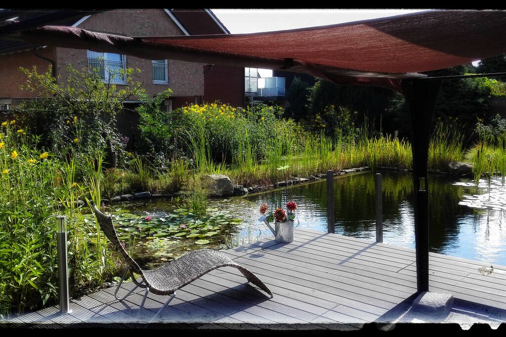 Schwimmteich August 2018