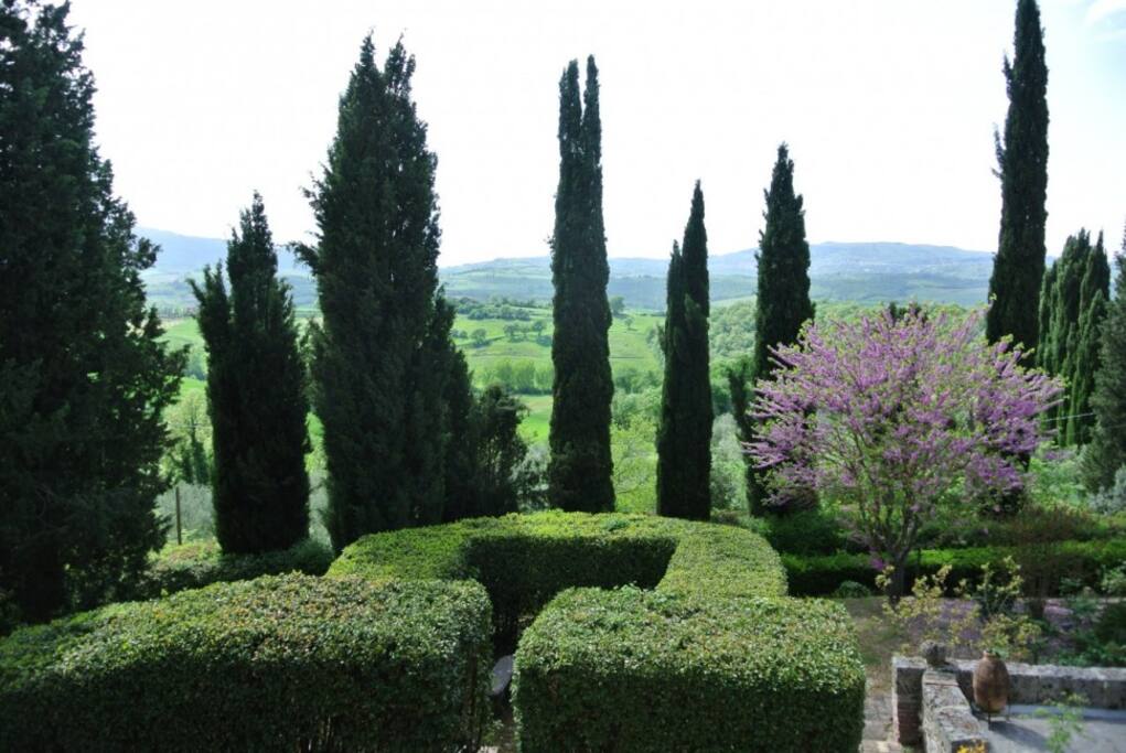 Vista