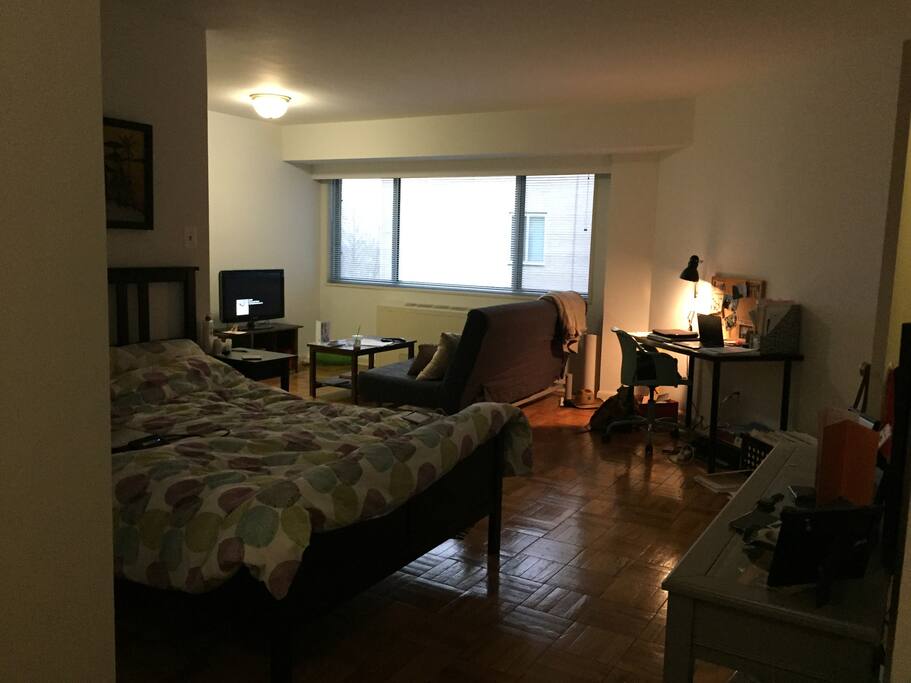 Large, sunny main living area with all furnishings included