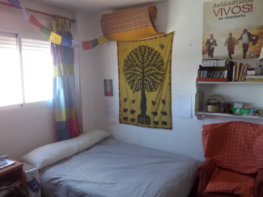El estudio