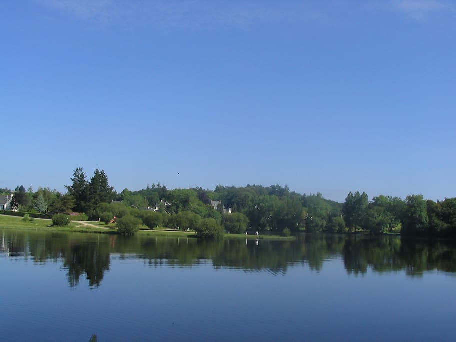 Lake View Villas is set back high in the trees facing you.