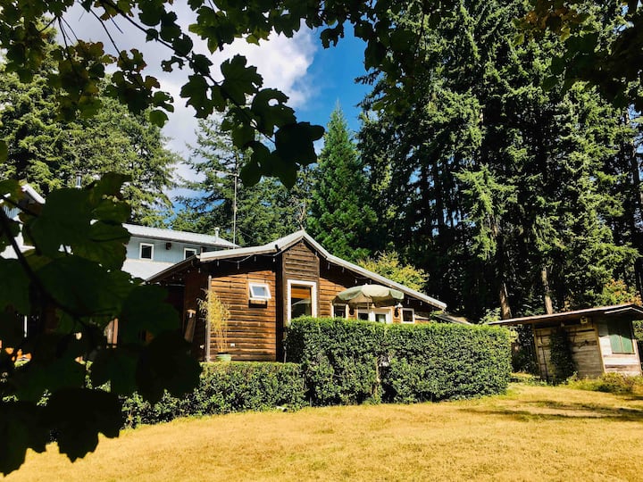 Clinton Vacation Rentals & Homes Washington, United States Airbnb