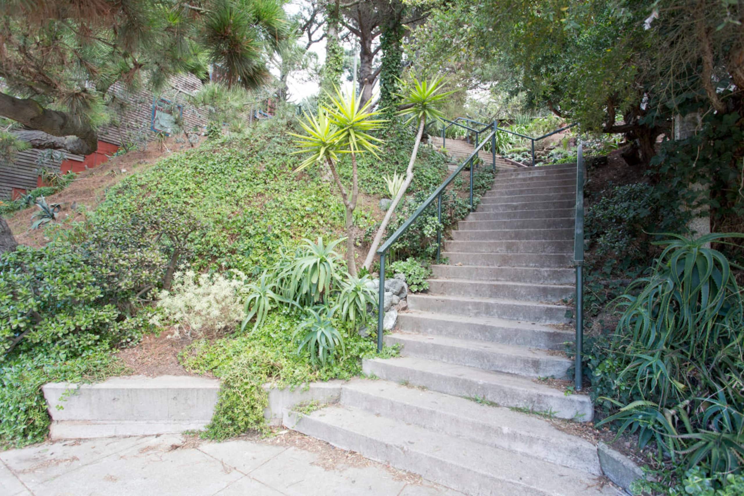 Home in San Francisco · ★4.9 · 2 bedrooms · 3 beds · 1 bath - Image 16