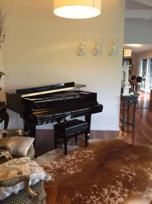 "Baby Grand" waiting for a musician