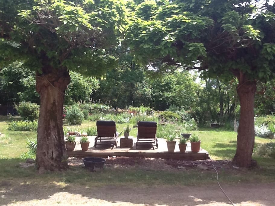 Vue au jardin / view on the garden