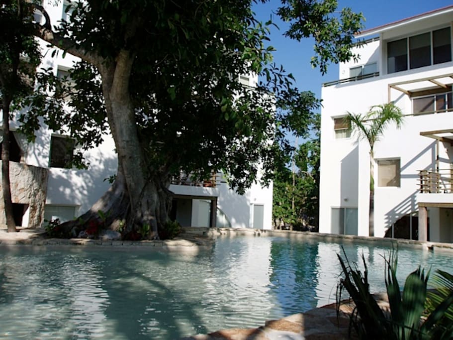 Heated two-tiered Pool