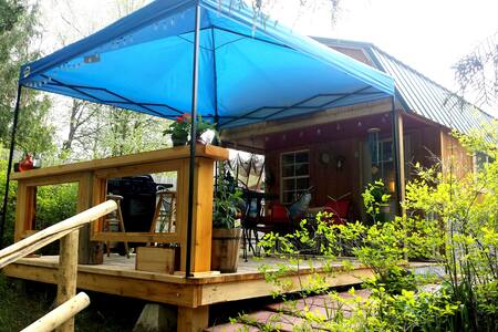 Montana Bunkhouse Cabin Right on The River