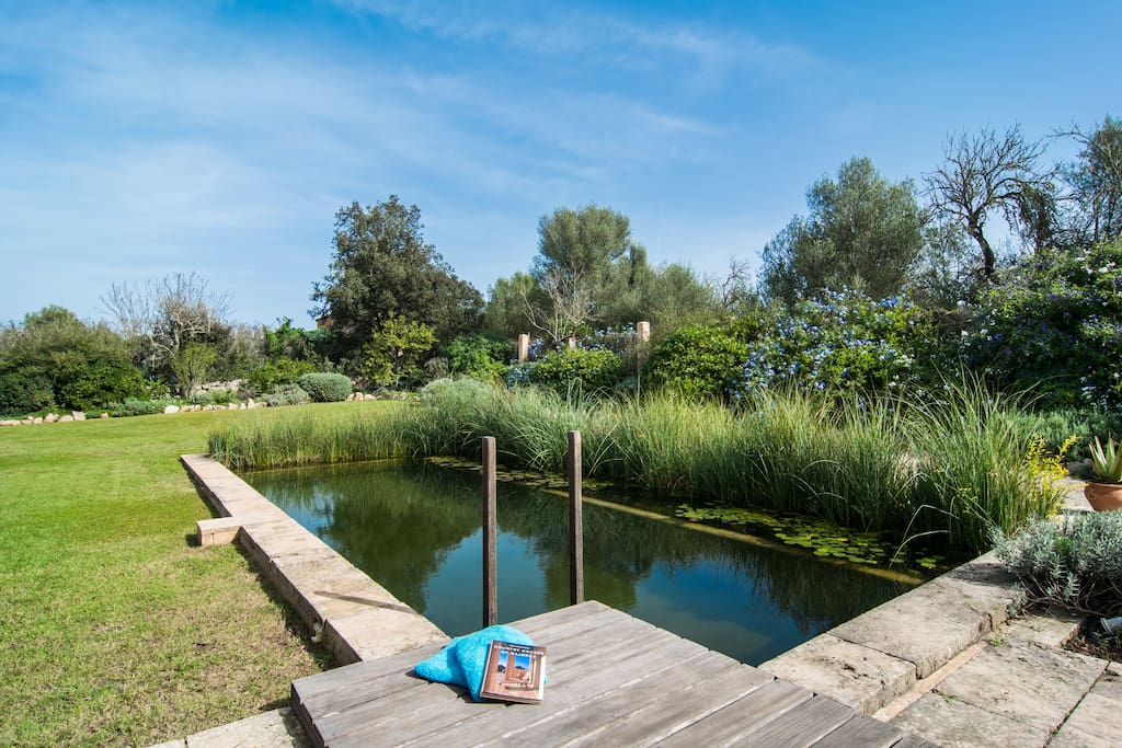 The Natural Swimming Pool