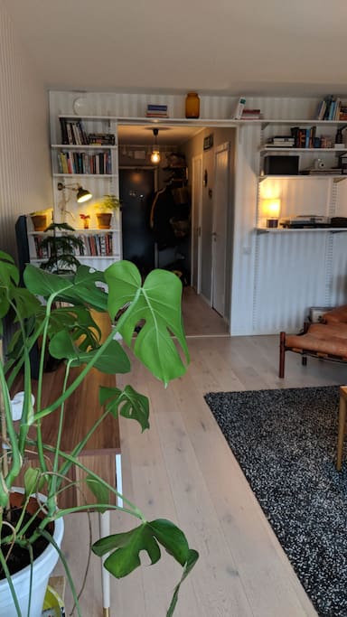 Living room featuring some more plants. Very calm living space with good vibes