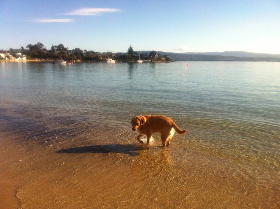 Beautiful calm waters