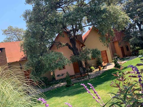 CABIN SUITE WITH JACUZZI AND KING-SIZE BED