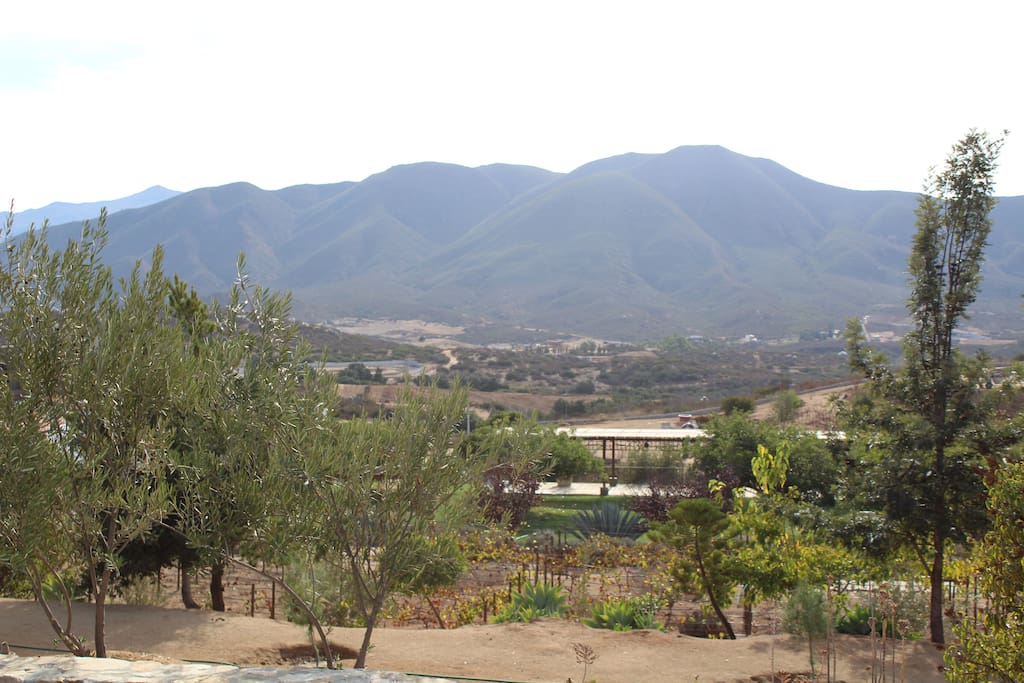 Vista panorámica