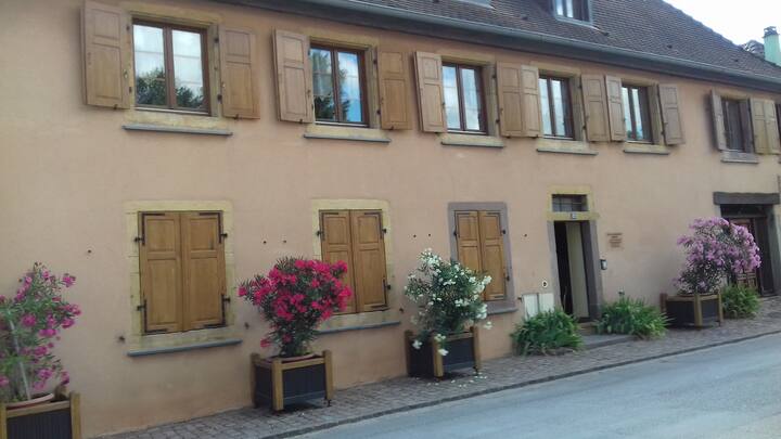 Appartement Le Callinet - Rouffach