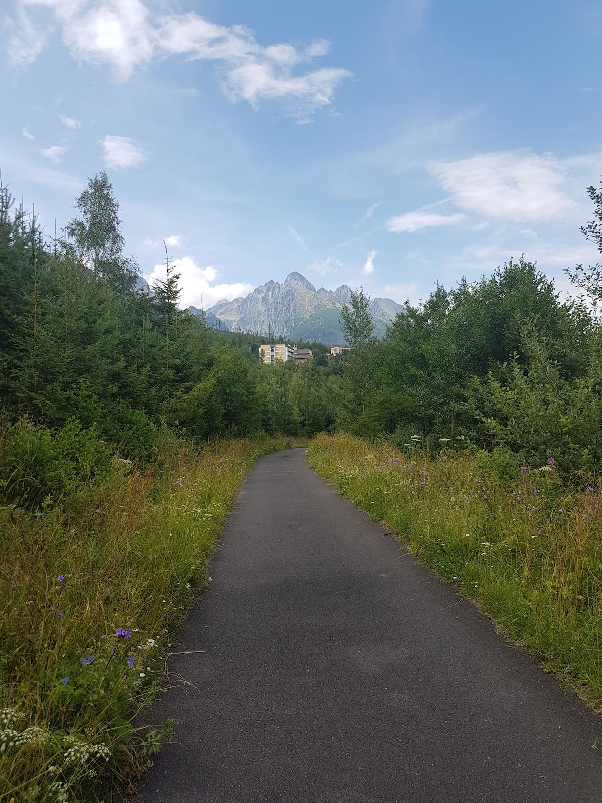 A winding pathway is framed by lush greenery and wildflowers, leading towards towering mountains in the distance. The sky above is partially cloudy, creating a serene backdrop, while a hint of urban architecture is visible among the trees.