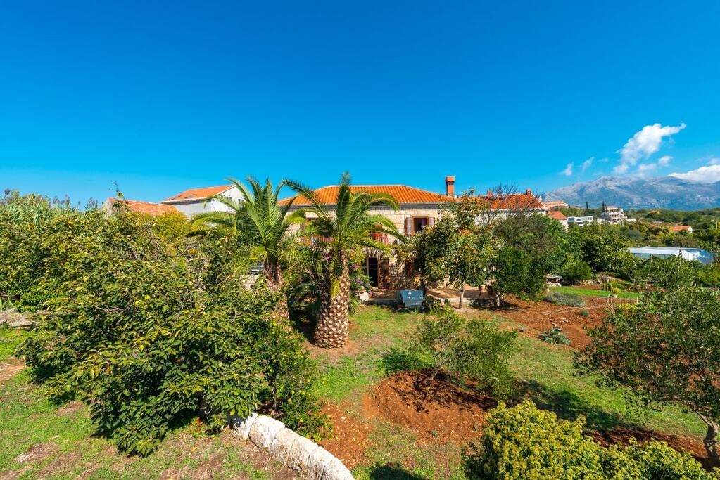 House view from the garden