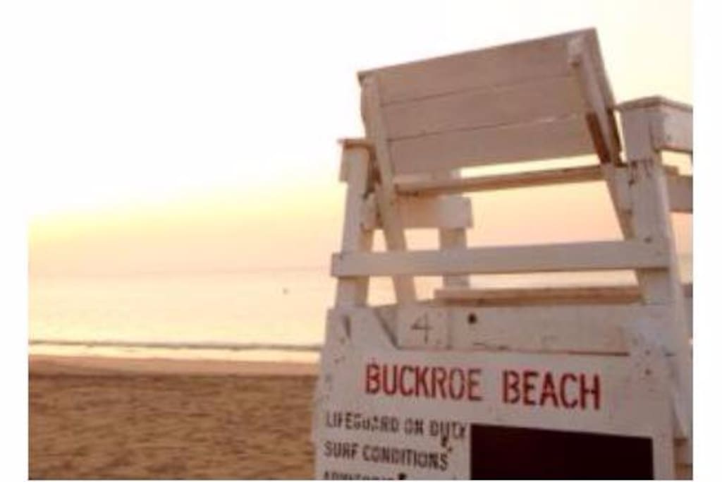 lifeguards at the beach in-season