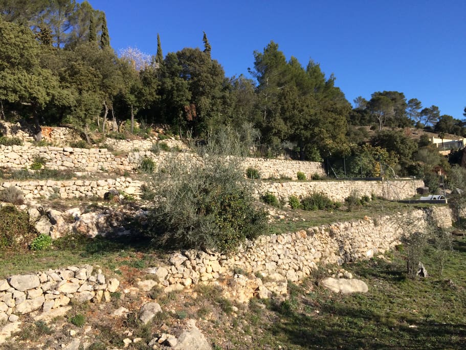 Restanque provençale
