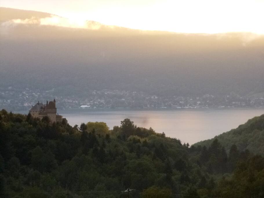 View from the garden