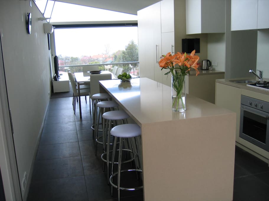 Island Bench and Fully Integrated Kitchen