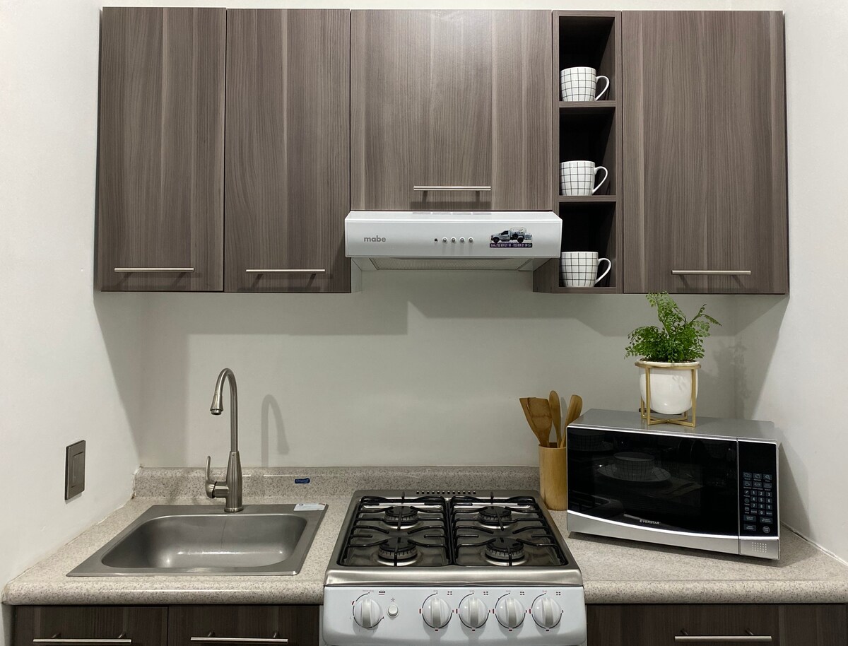 A compact kitchen area features modern cabinetry in a warm wood finish. Essential appliances include a gas stove, microwave, and sink. Open shelves display white dinnerware, while a decorative plant adds a touch of greenery to the countertop.