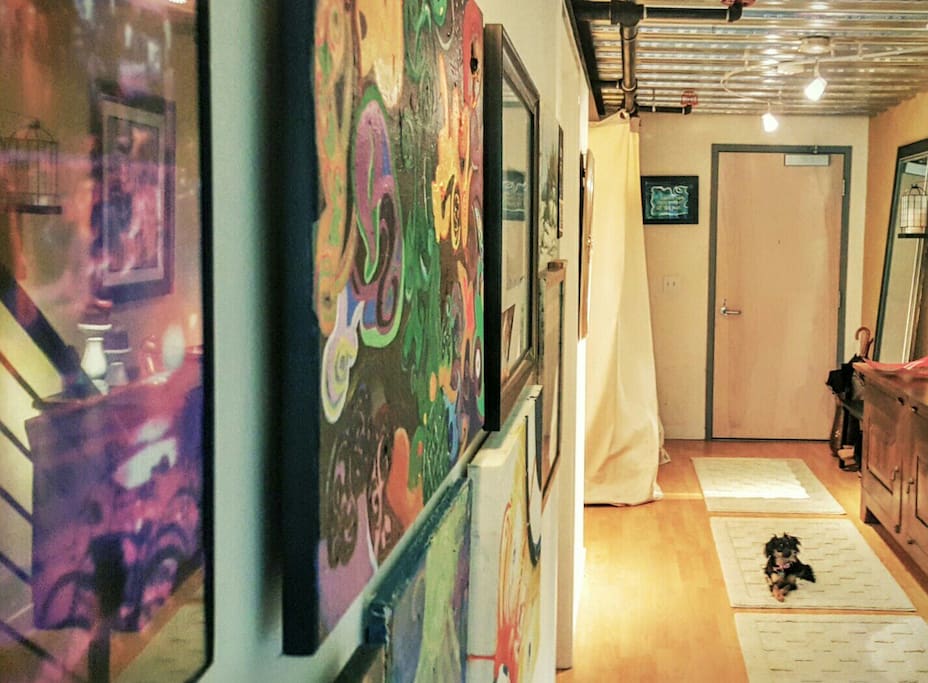 Stylish entry (coco channel the pup included)
