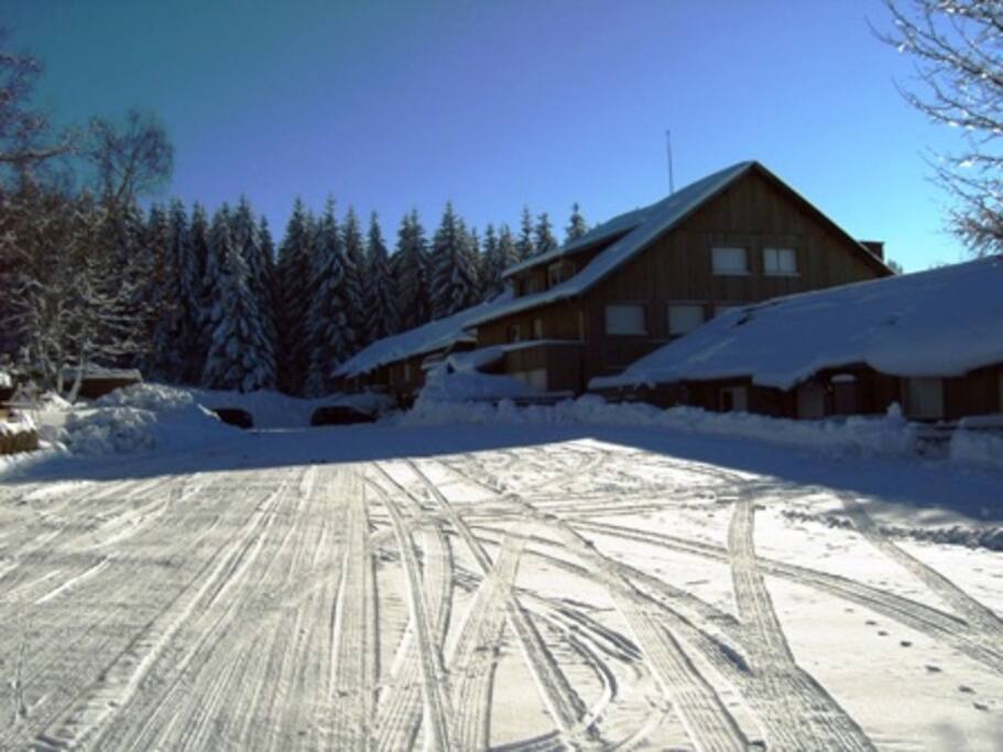 Les Angéliques en hiver