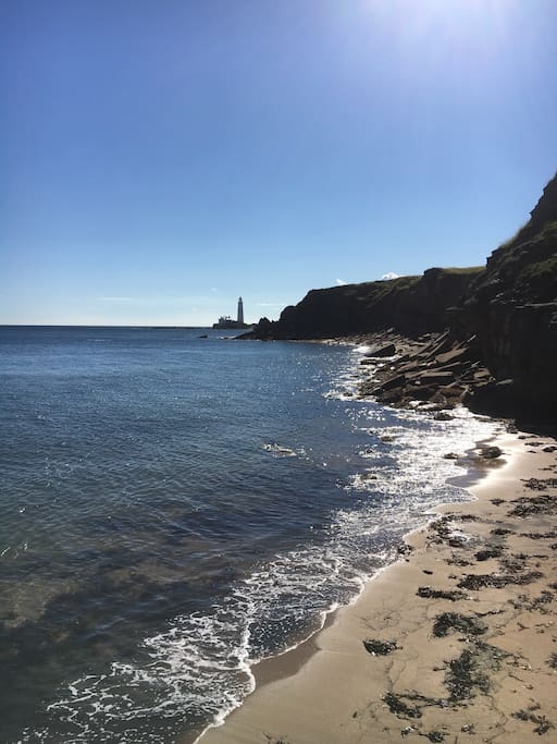 Beautiful local beaches and coastline.
