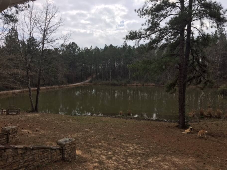 View of pond from your bedroom porch
