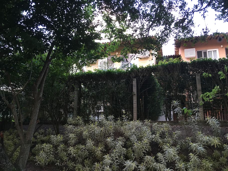 back of the house