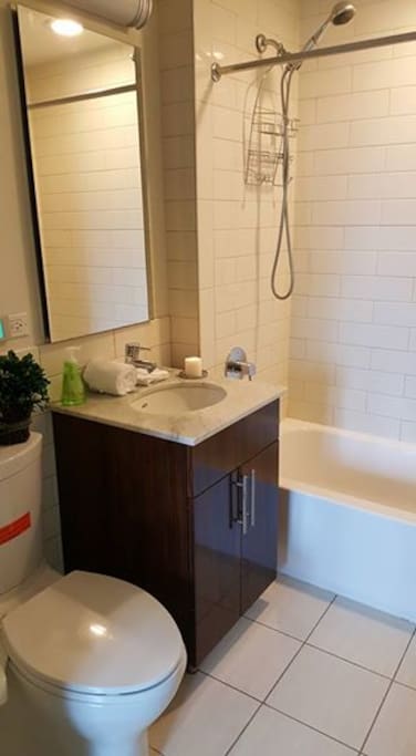 private guest bathroom