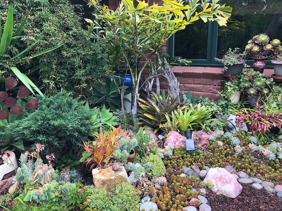 front garden